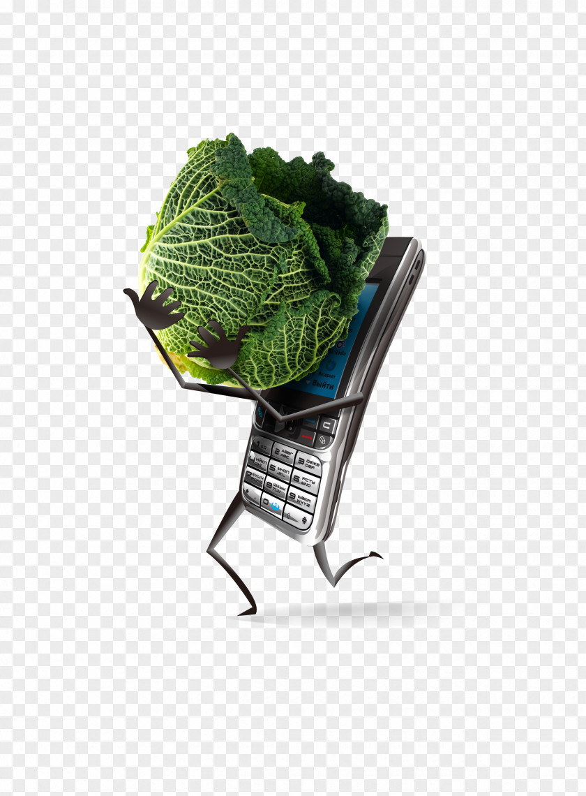 Hold The Phone Cabbage Poster Advertising Creativity PNG