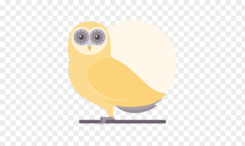 Owl Cute Fresh Image Bird Cartoon PNG