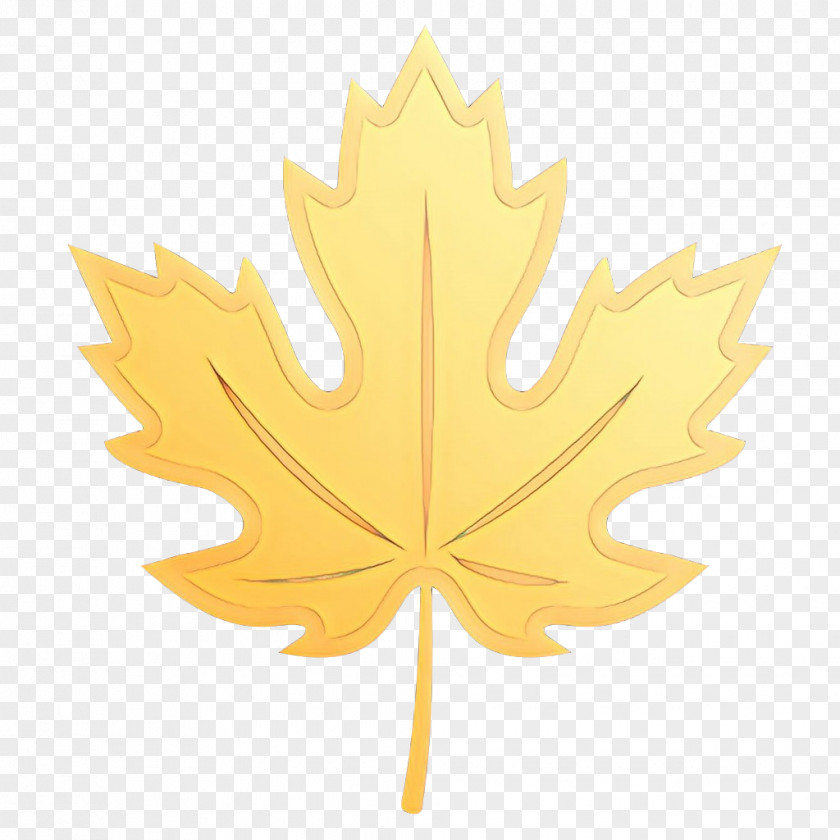 Silver Maple Black Autumn Tree PNG
