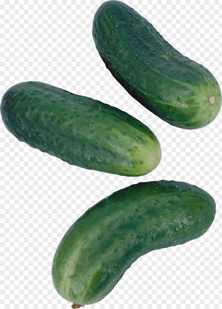 Cucumber Pickled Spreewald Gherkins Brined Pickles Half Sour PNG