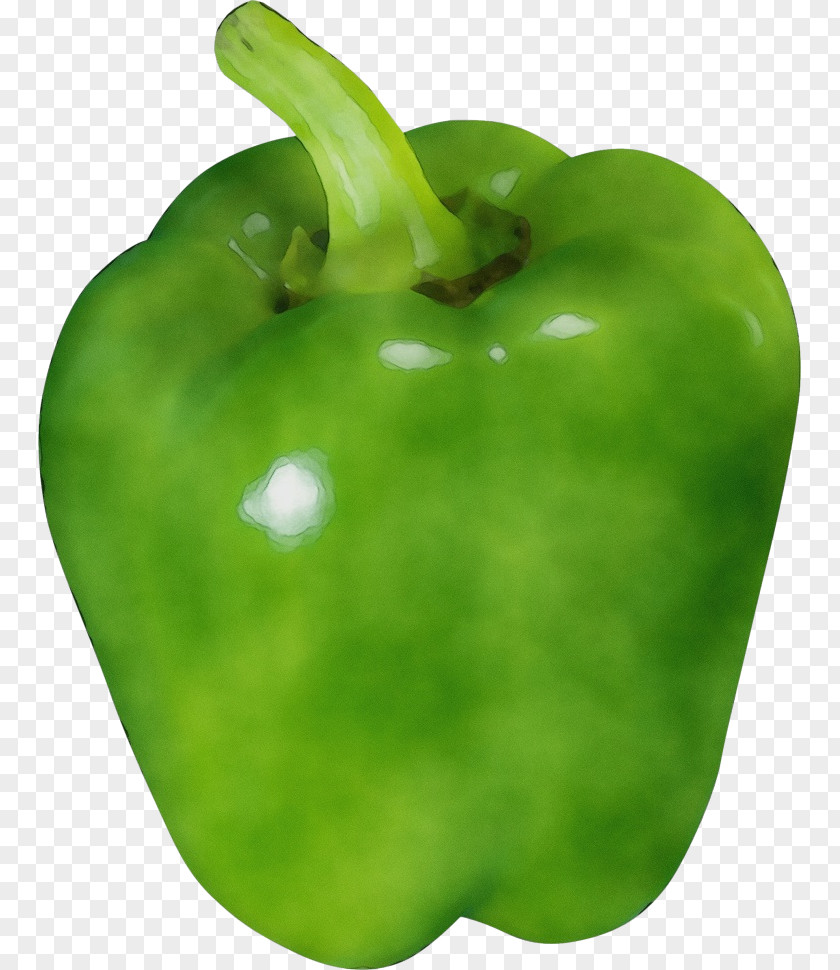 Food Plant Bell Pepper Pimiento Capsicum Green PNG