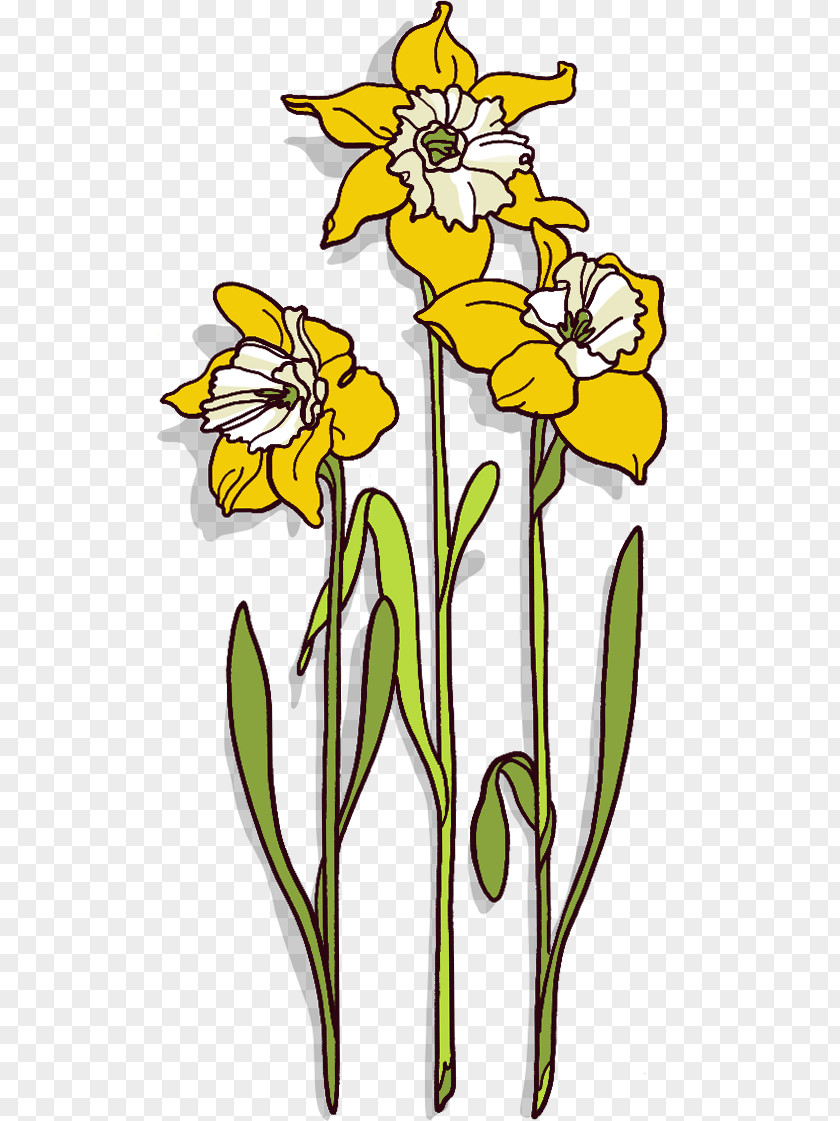 M Advertising Online And OfflineBorder Paper Daffodil Floral Design Diens Black & White PNG