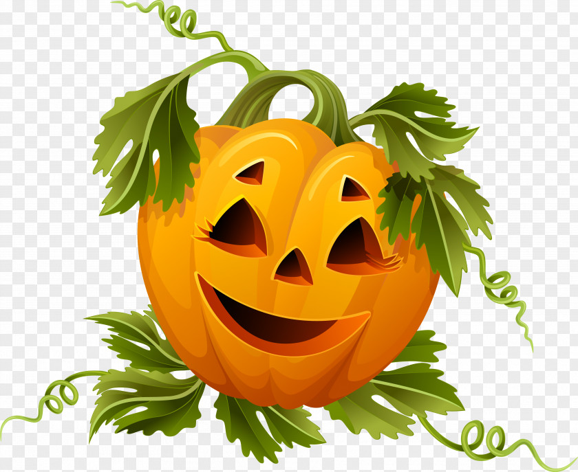 Pumpkin Halloween Pumpkins Jack-o'-lantern Vector Graphics PNG