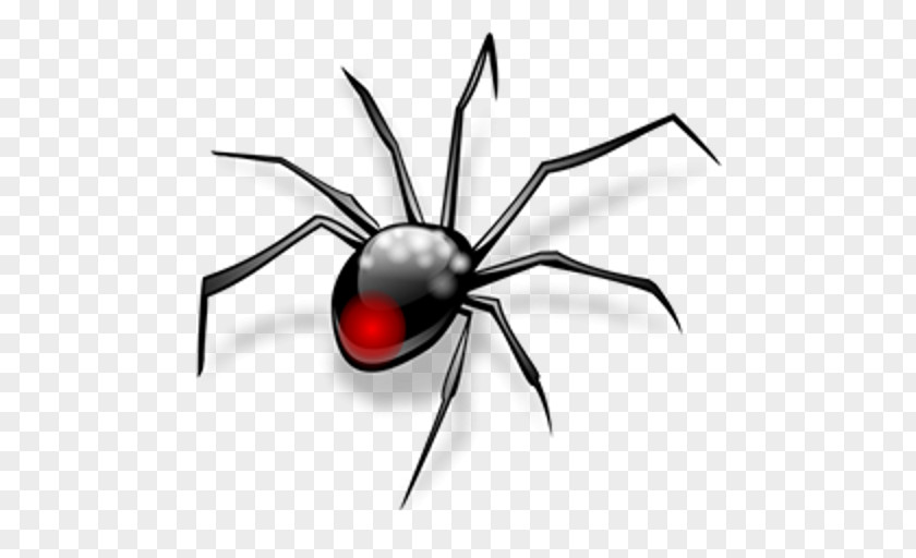 Spider Widow Spiders Black Insect Clip Art PNG