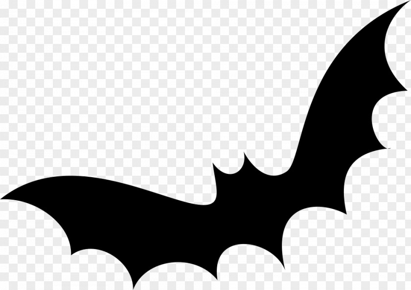 Bat Image Vector Graphics PNG