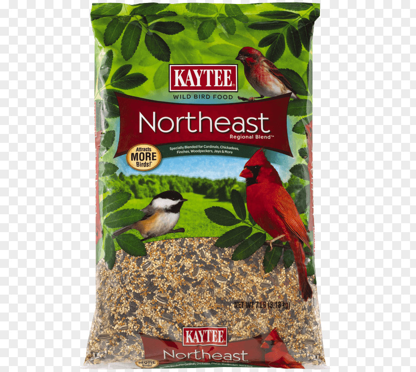 Bird Food Kaytee Sunflower Seed Suet PNG