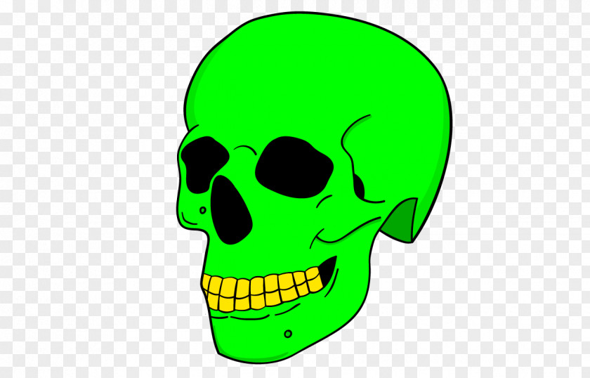 Material Skull Bone Jaw Cartoon Clip Art PNG