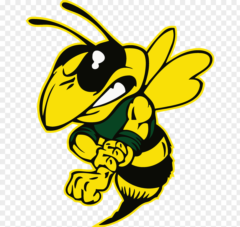 Wasps Cartoon Angry Franklin High School Edison Stockton Unified District National Secondary PNG