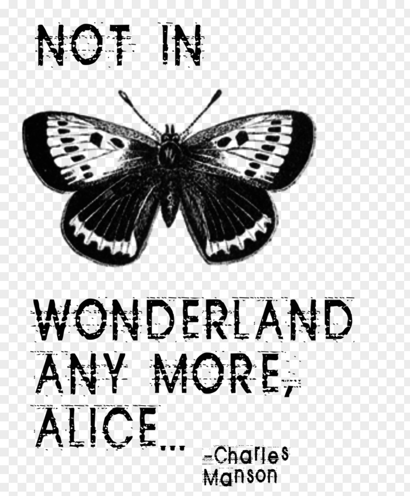 Alice In Wonderland Clip Art Brush-footed Butterflies We're Not Anymore Alice. IPad Air Alice's Adventures PNG