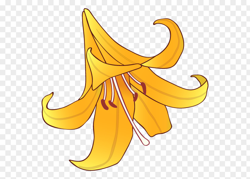 Banana Clip Art Flower Leaf PNG
