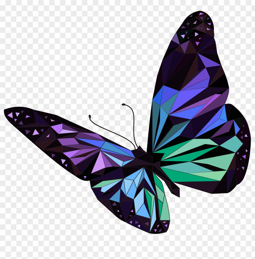 Butterfly Stock Photography Image Royalty-free PNG