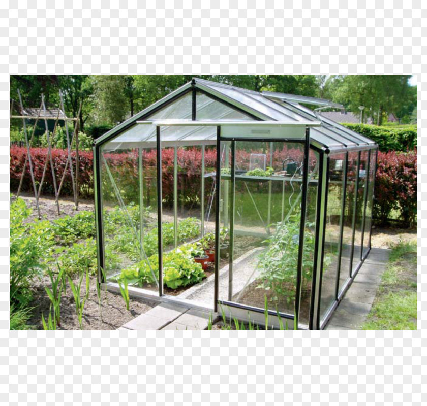 Glass Greenhouse Toughened Garden Abri De Jardin PNG