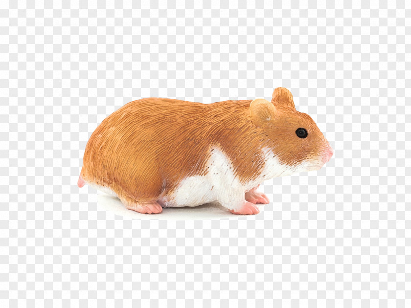 Hamster Golden Toy Pet Animal PNG