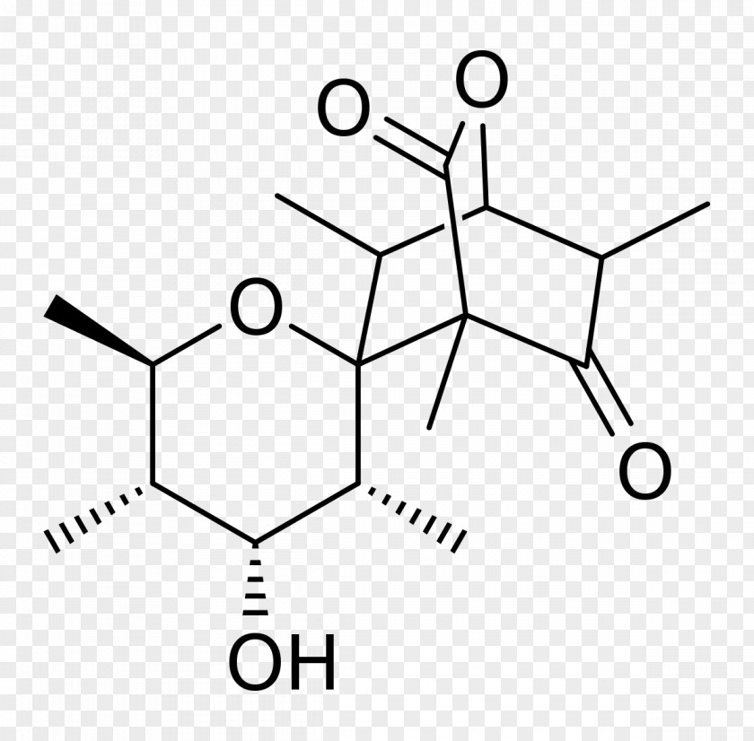 Lactone Glucose Chemistry High-fructose Corn Syrup PNG