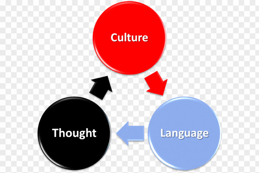Psychology Cultural Critic Thought And Language Culture Sociocultural Perspective PNG