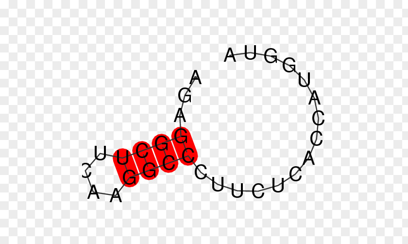 Santa Cruz Biotechnology Bracelet Logo Mandala PNG