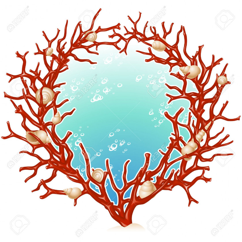 Coral Red Picture Frames Clip Art PNG