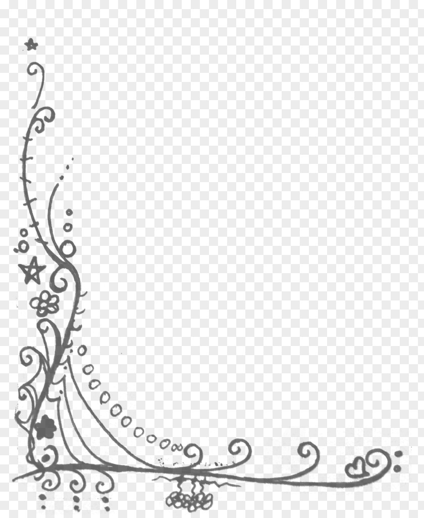Line Border Brush Photography PNG