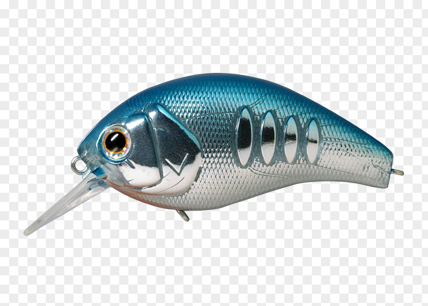 Spoon Lure Oily Fish Herring Milkfish Blue PNG