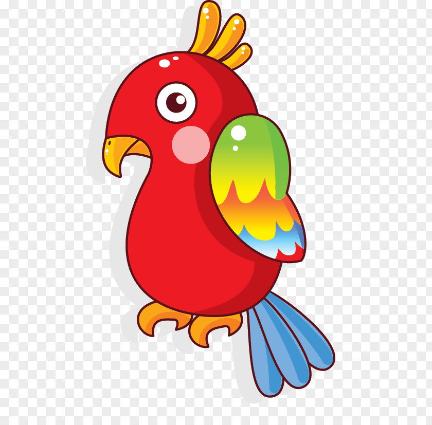 Bird Lovebird Parrot Drawing PNG