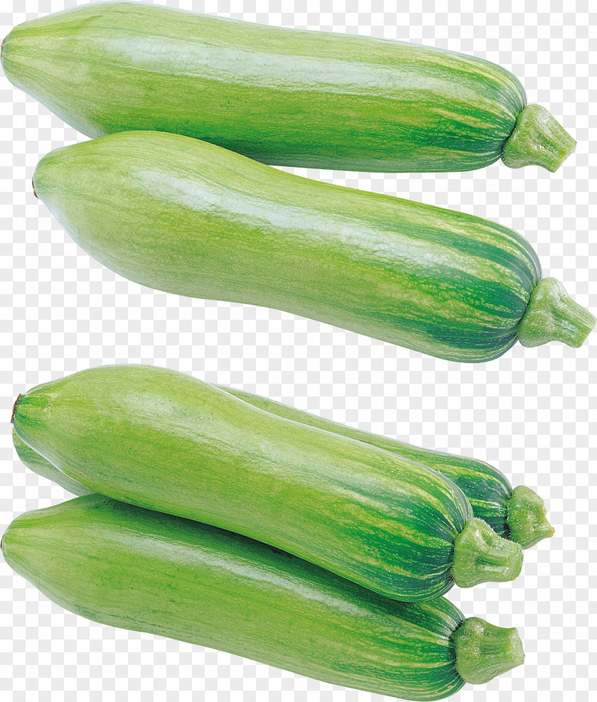 Cucumber Pumpkin Aehobak Summer Squash PNG