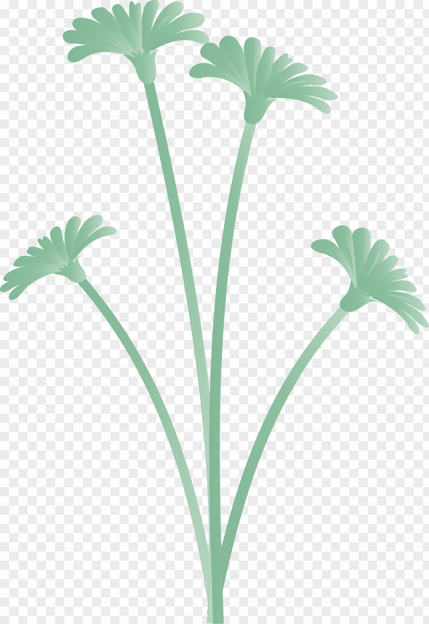 Dandelion Flower PNG