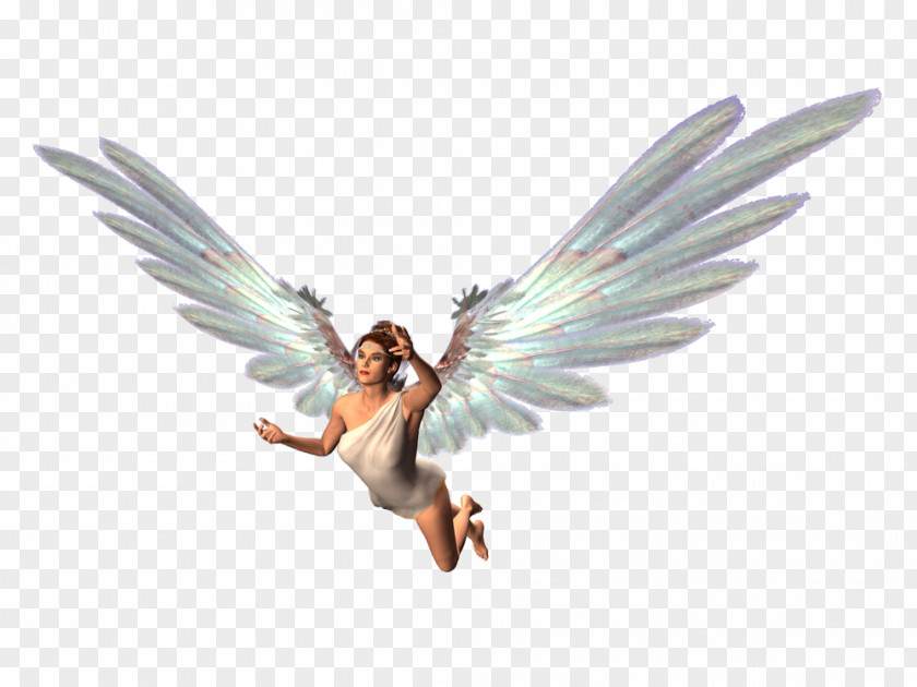 Fairy Desktop Wallpaper PNG