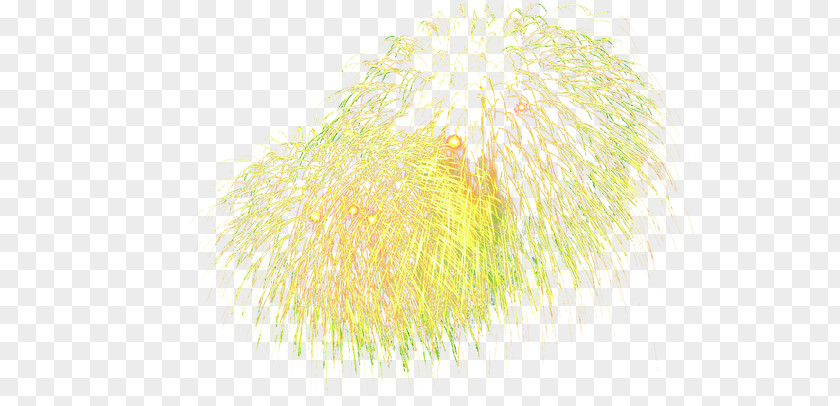 Golden Fireworks Text Yellow Illustration PNG
