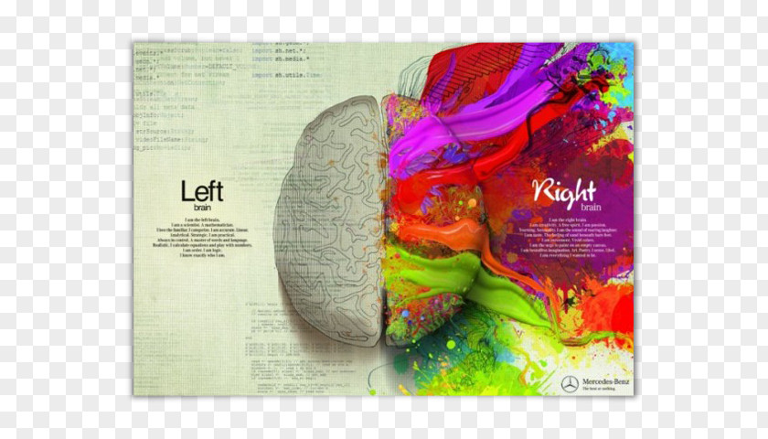 Left And Right Brain Lateralization Of Function Pocket Guide To Interpersonal Neurobiology: An Integrative Handbook The Mind (Norton Series On Neurobiology) Color Human PNG