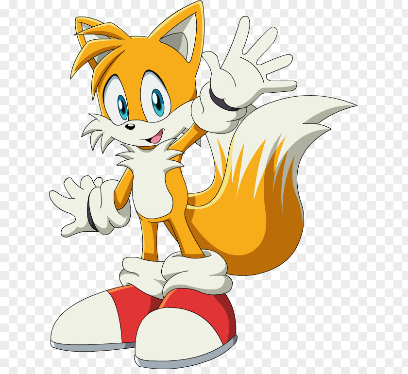 Sonic The Hedgehog Tails & Knuckles Echidna Rouge Bat PNG