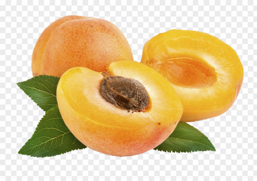 Apricot Peach Organic Food Kernel Fruit PNG