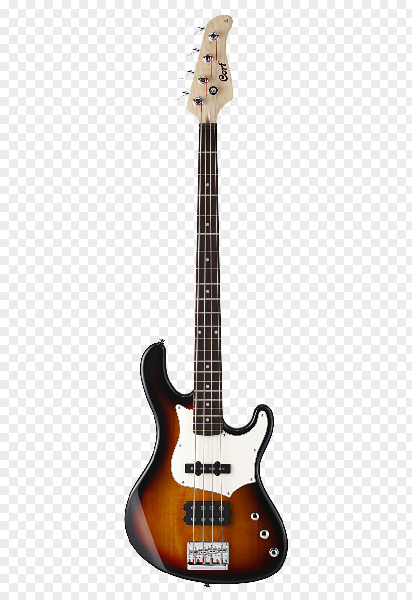 Bass Guitar String Instruments Musical Cort Guitars Double PNG