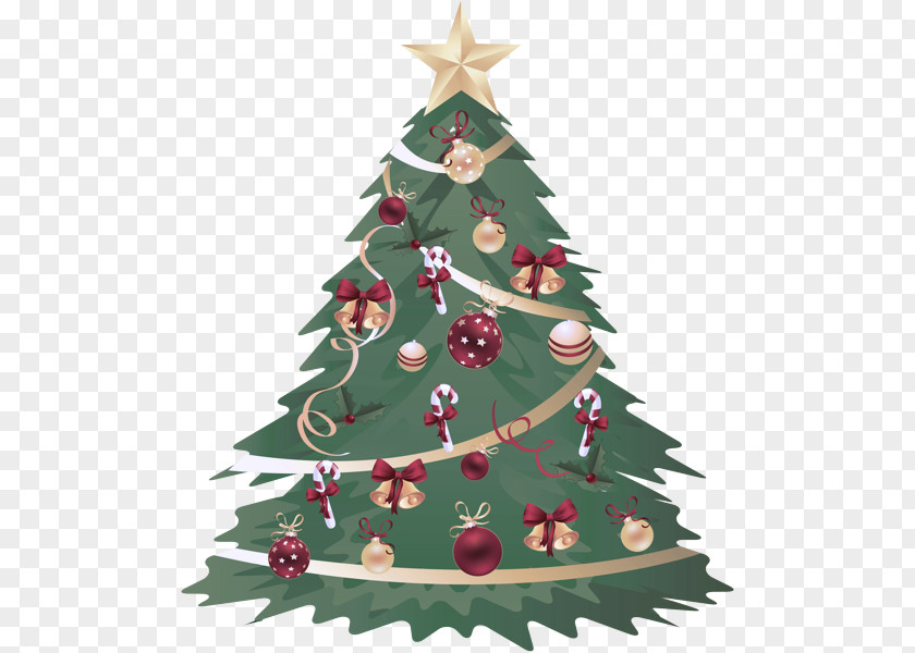 Christmas Eve Pine Tree PNG