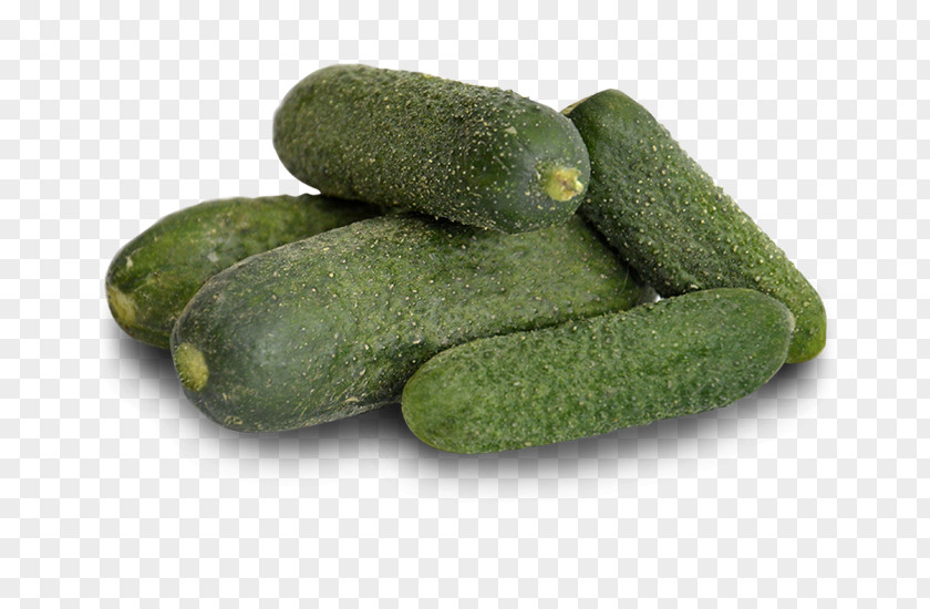 Cucumber Pickled Spreewald Gherkins Parthenocarpy Formula 1 PNG