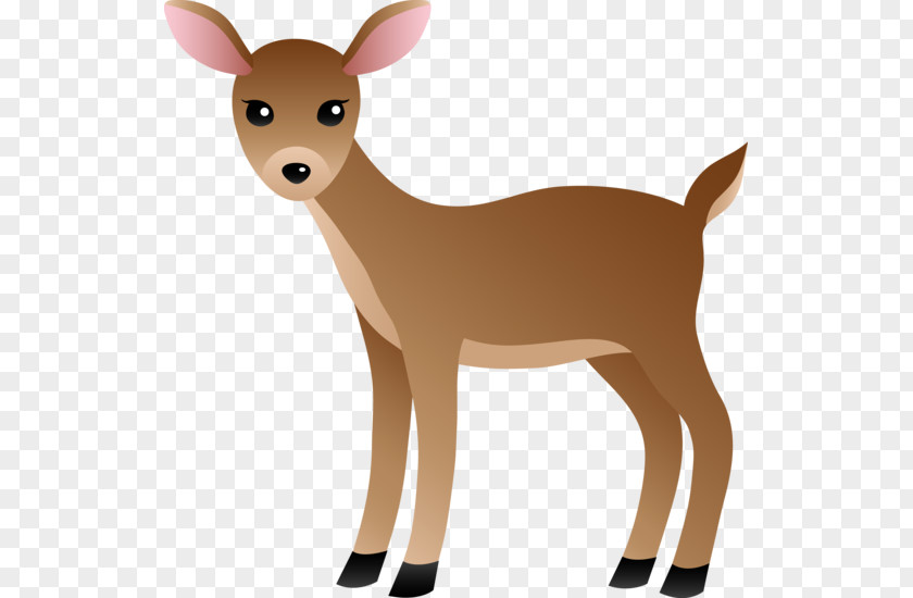 Deer White-tailed In The Woods Clip Art PNG