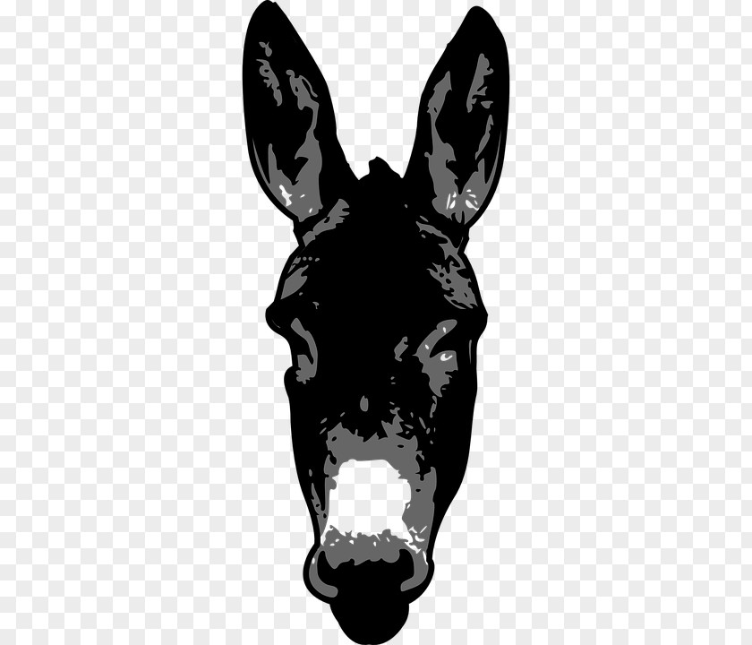 Donkey Clip Art Image Silhouette Vector Graphics PNG