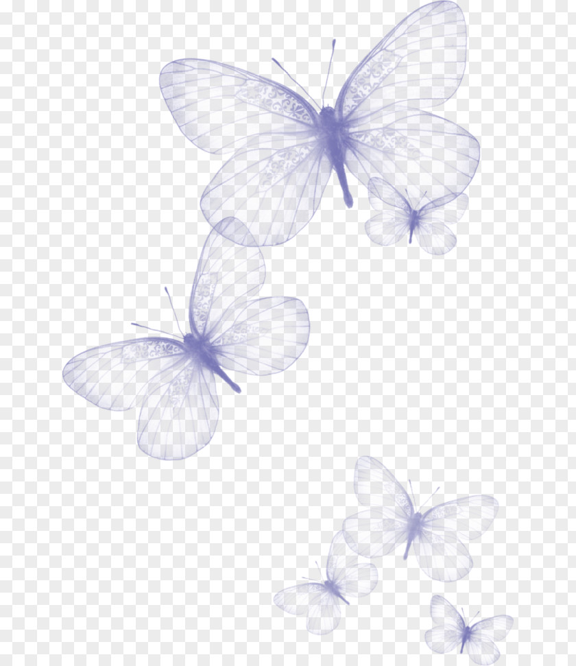 Fluttering Butterflies,Butterfly Dream Butterfly Clip Art PNG