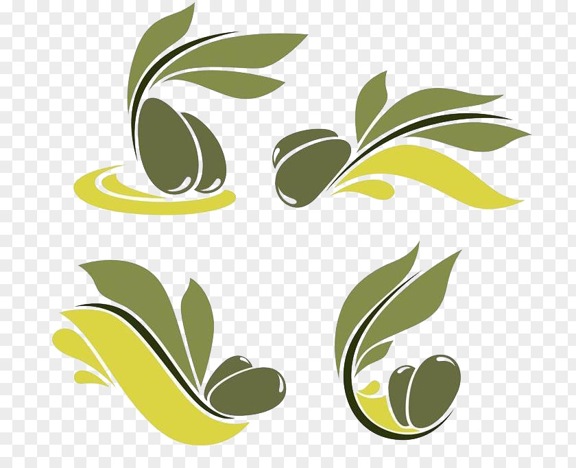 Green Olive Branch Oil Logo Illustration PNG