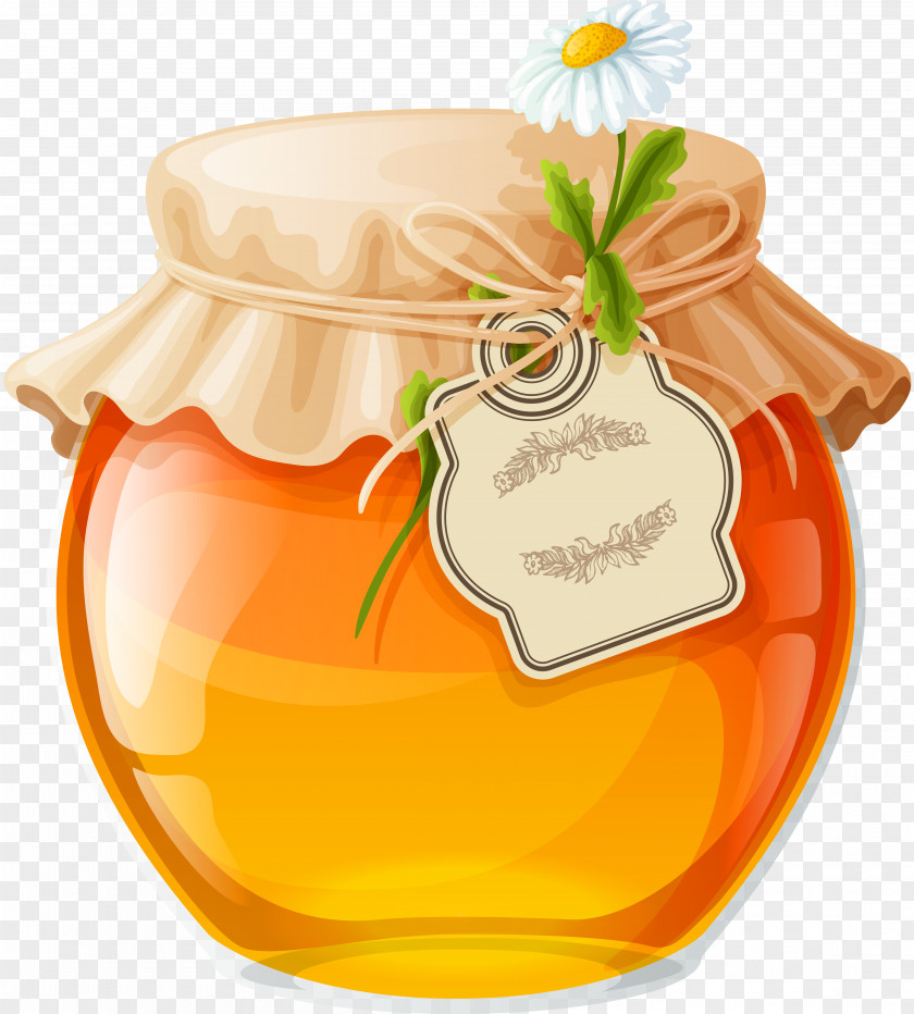 Honey Clip Art Vector Graphics Illustration Jam PNG