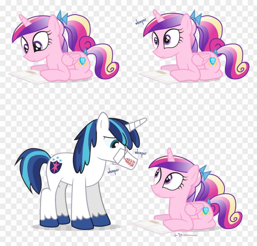 Horse Pony Rainbow Dash Twilight Sparkle Pinkie Pie Princess Skystar PNG