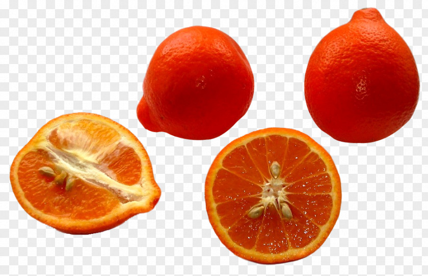 Minneola Tangelos Clementine Tangerine Tangelo Grapefruit Rangpur PNG