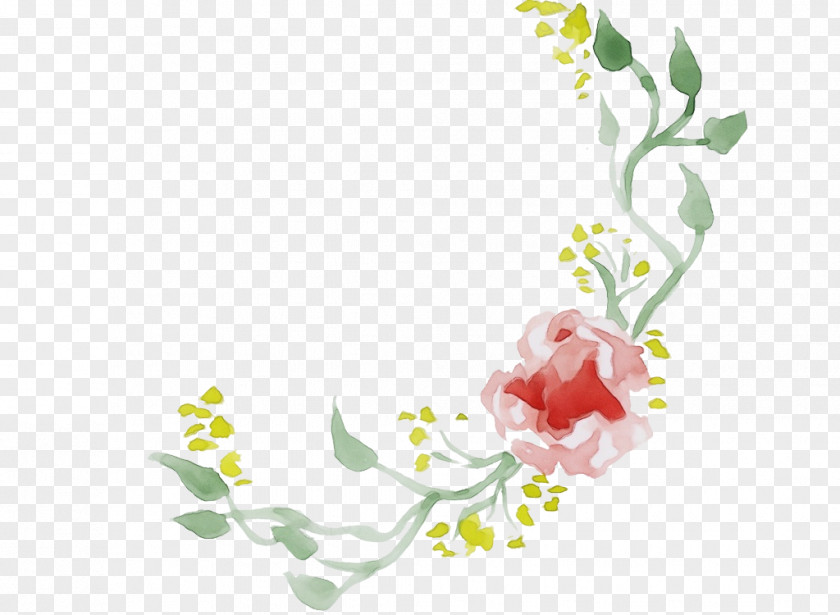 Plant Stem Blossom Watercolor Floral Background PNG