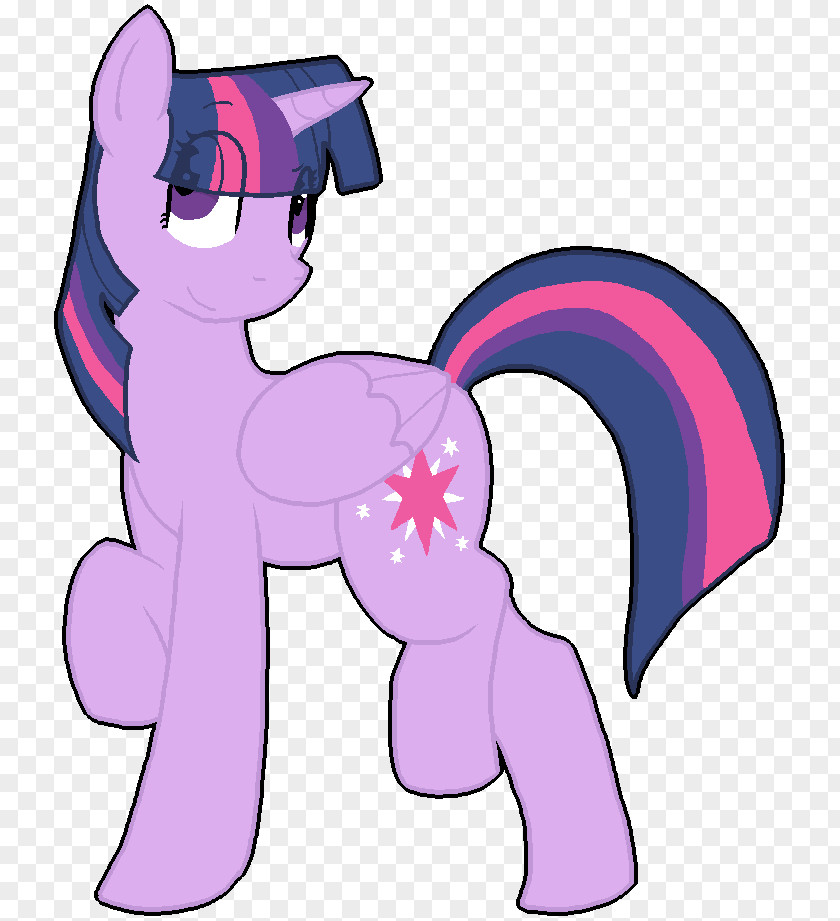 Pony Twilight Sparkle DeviantArt Winged Unicorn PNG