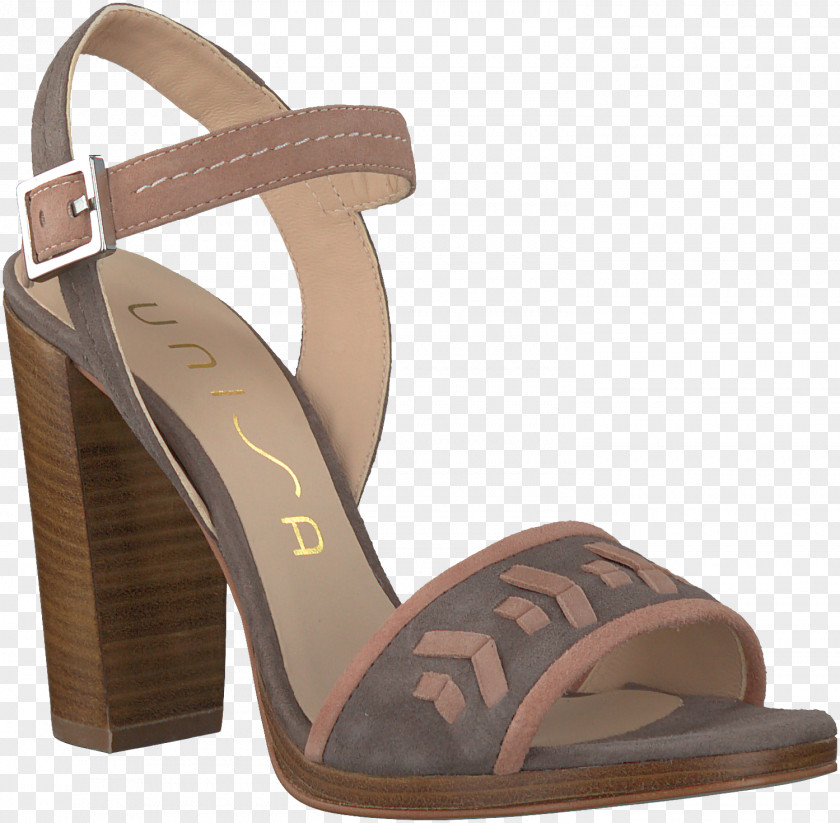 Sandal Court Shoe Footwear Absatz PNG