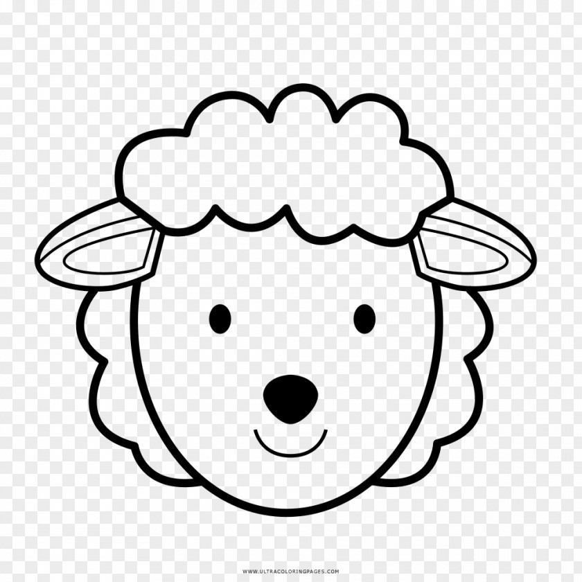 Sheep Drawing Coloring Book Lamb And Mutton PNG
