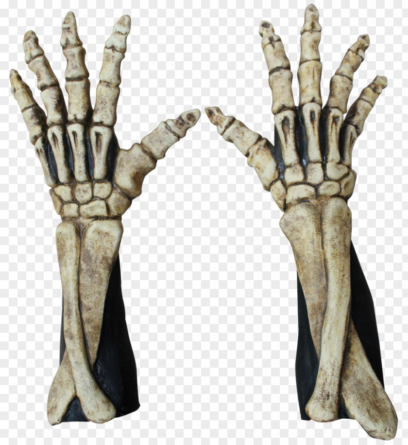 Skeleton Robe Finger Glove Hand PNG