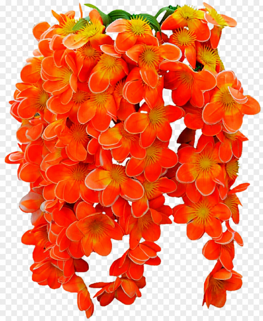 Tropical Print Cut Flowers Petal PNG