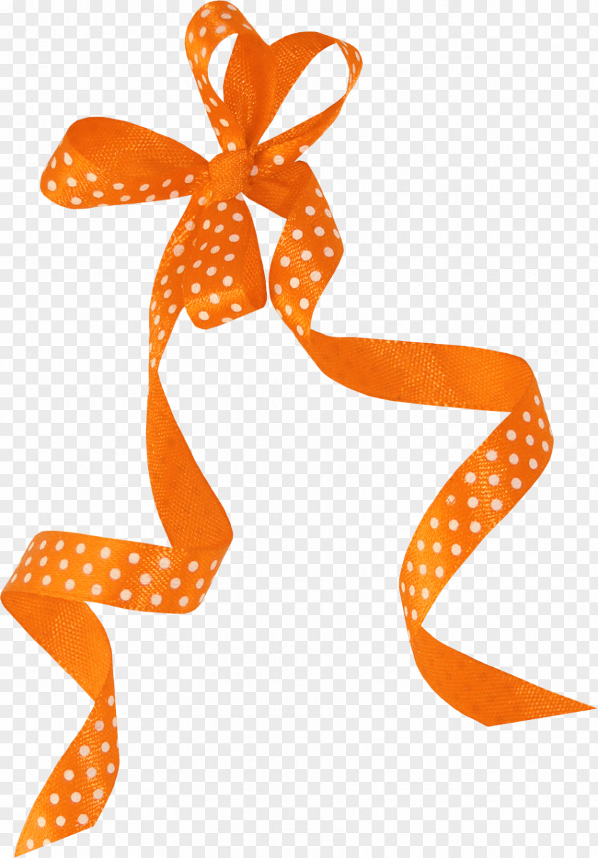Bow Material Download PNG