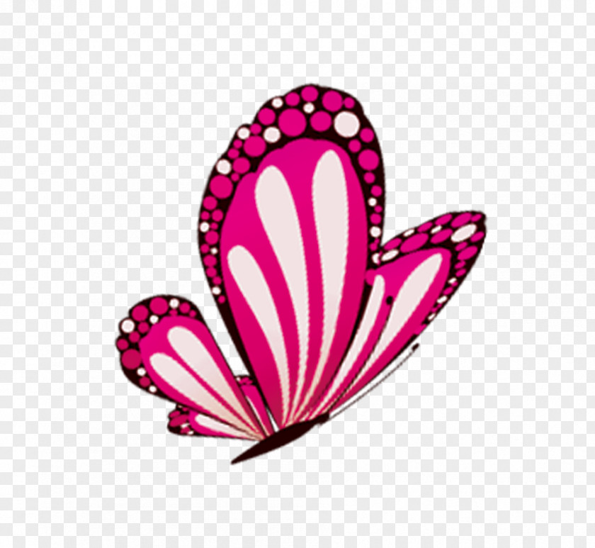 Butterfly Gratis PNG