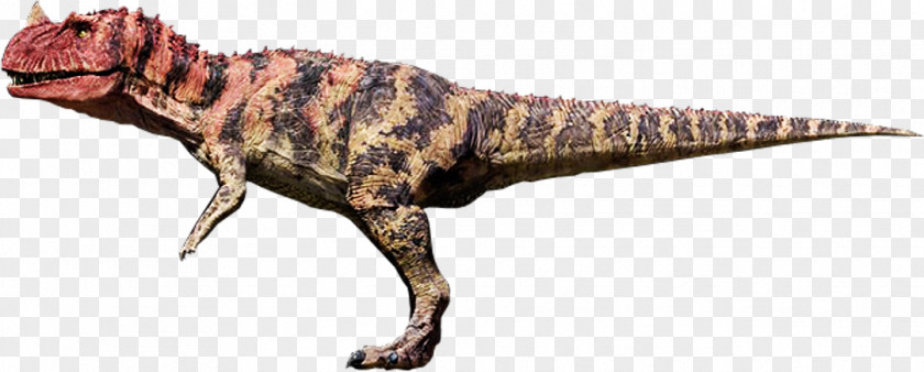 Ceratosaurus Pattern Jurassic Park: Operation Genesis Spinosaurus Parasaurolophus PNG